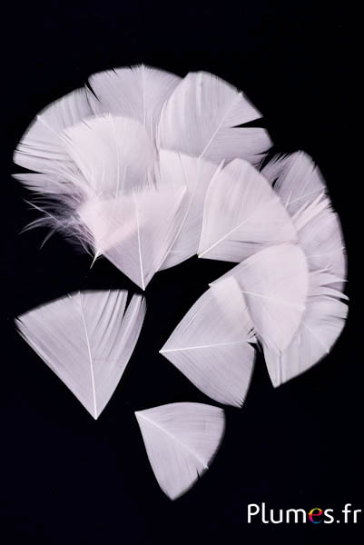 Petali a goccia in piume - 6-8 x 3-4 cm - rosa tenue